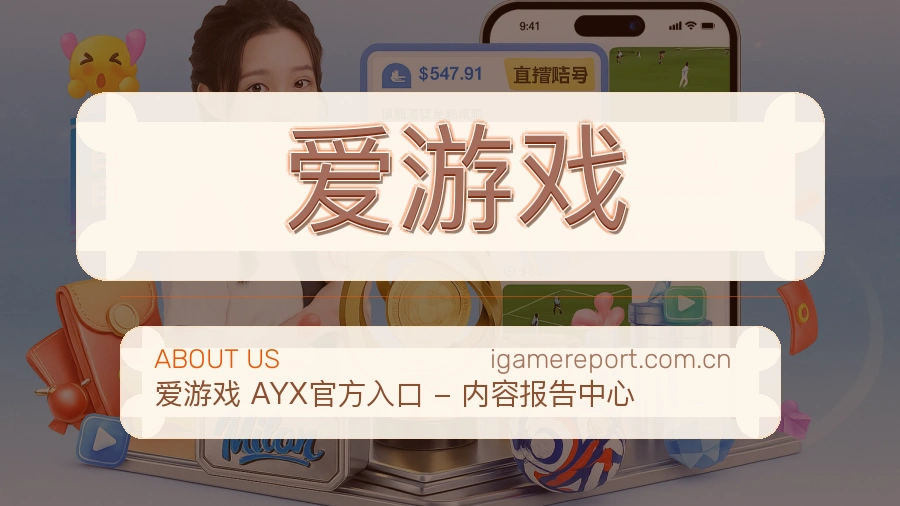 爱游戏体育入口服务
